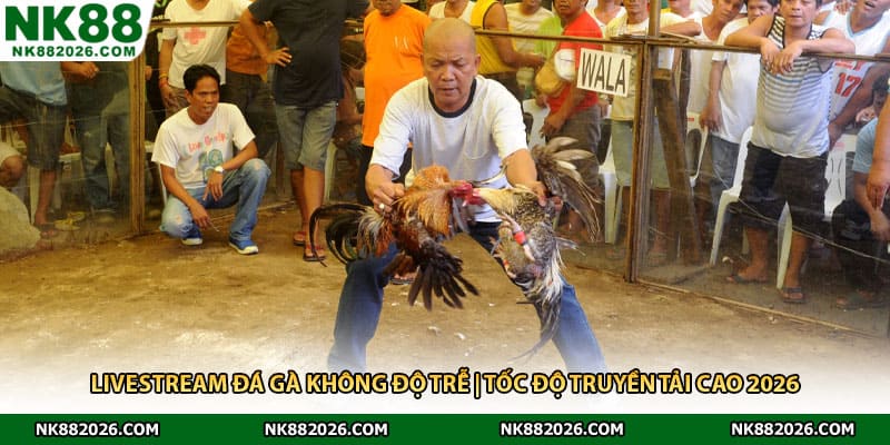 Livestream Đá Gà Không Độ Trễ | Tốc Độ Truyền Tải Cao 2026
